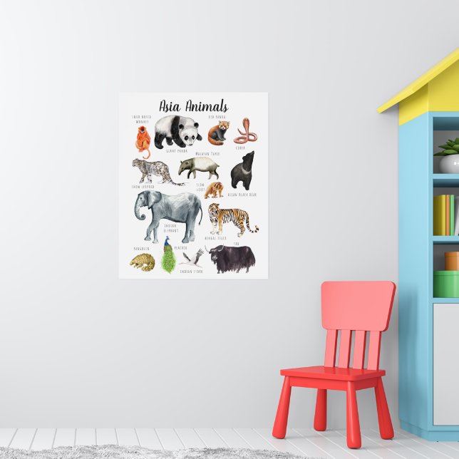 Asia Animals | Education Learning Classroom Poster (Nursery 1)