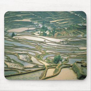 Asia, China. Flooded rice terraces near Nano Mouse Mat