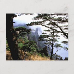 Asia, China, Huanshan. The yellow mountain Postcard