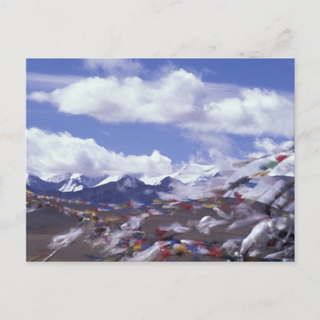 Asia, China, Tibet, Tangla Pass. Prayer flags Postcard (Front)