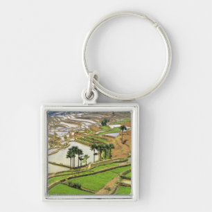 Asia, China, Yunnan, Honghe. Rice terraces near Key Ring