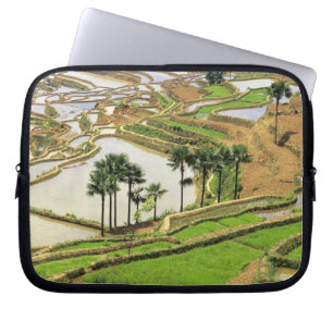 Asia, China, Yunnan, Honghe. Rice terraces near Laptop Sleeve