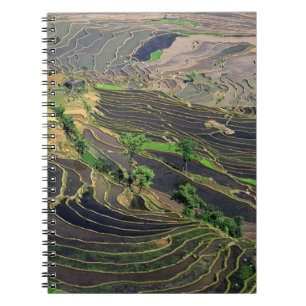 Asia, China, Yunnan, Honghe. Rice Terraces near Notebook