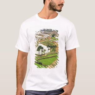 Asia, China, Yunnan, Honghe. Rice terraces near T-Shirt