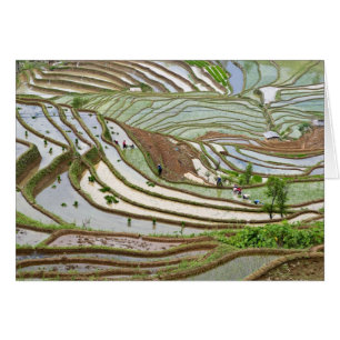 Asia, China, Yunnan, Jinping. Native Yi people