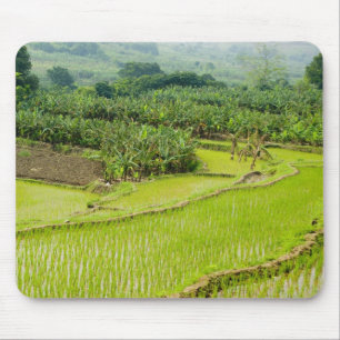 Asia, China, Yunnan Province, Honghe. Banana Mouse Mat
