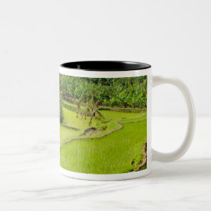 Asia, China, Yunnan Province, Honghe. Banana Two-Tone Coffee Mug