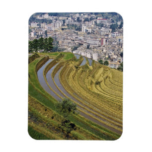 Asia, China, Yunnan Province, Jinping. Jinping Magnet