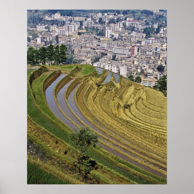 Asia, China, Yunnan Province, Jinping. Jinping Poster (Front)