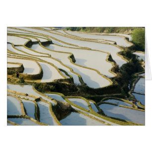 Asia, China, Yunnan Province, Yuanyang County.