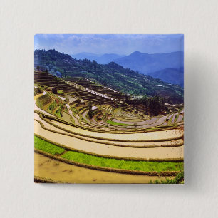 Asia, China, Yunnan Province, Yuanyang County. 15 Cm Square Badge