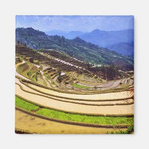 Asia, China, Yunnan Province, Yuanyang County. Magnet