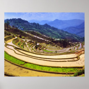 Asia, China, Yunnan Province, Yuanyang County. Poster