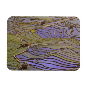 Asia, China, Yunnan Province, Yuanyang. Flooded Magnet