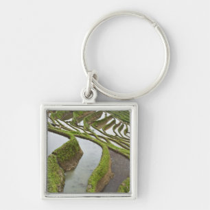 Asia, China, Yunnan, Yuanyang. Flooded rice Key Ring