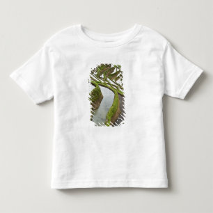 Asia, China, Yunnan, Yuanyang. Flooded rice Toddler T-Shirt