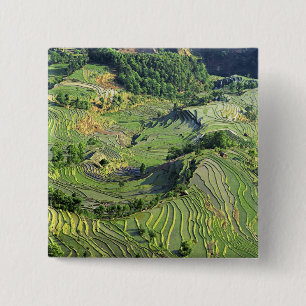 Asia, China, Yunnan, Yuanyang. Pattern of green 15 Cm Square Badge