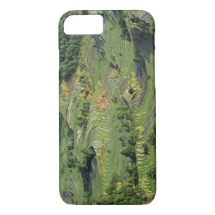 Asia, China, Yunnan, Yuanyang. Pattern of green 2 iPhone 8/7 Case