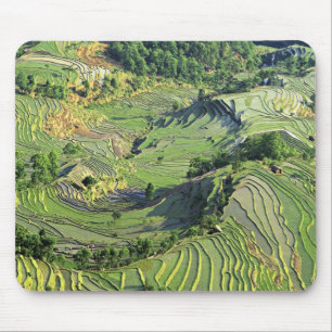 Asia, China, Yunnan, Yuanyang. Pattern of green Mouse Mat
