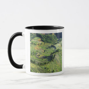 Asia, China, Yunnan, Yuanyang. Pattern of green Mug