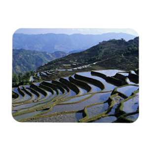 Asia, China, Yunnan, Yuanyang. Rugged Magnet