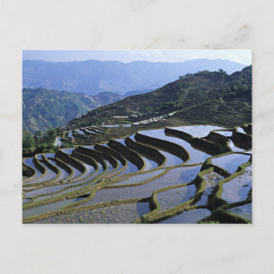 Asia, China, Yunnan, Yuanyang. Rugged Postcard