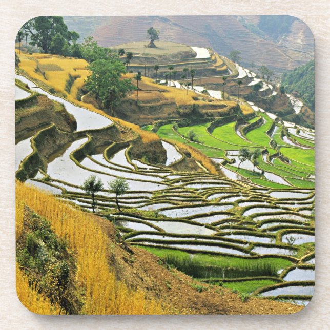 Asia, China, Yunnan, Yuxi Prefecture; Yuanjiang. Coaster (Front)