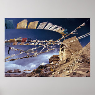 Asia, India, Ladakh, Leh. Known as Little Poster