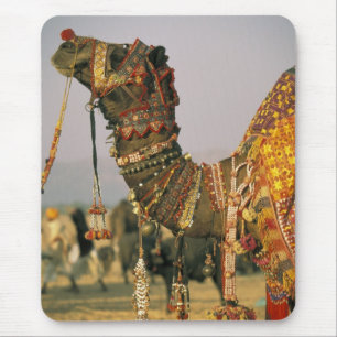 Asia, India, Pushkar. Camel Shamu , Pushkar Mouse Mat