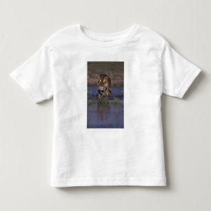 ASIA, India Tiger walking through the water Toddler T-Shirt