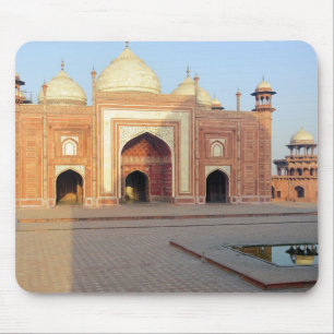 Asia, India, Uttar Pradesh, Agra. On the Mouse Mat