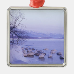 Asia, Japan, Hokkaido, Akan NP, Whopper Swans Metal Tree Decoration