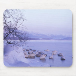 Asia, Japan, Hokkaido, Akan NP, Whopper Swans Mouse Mat
