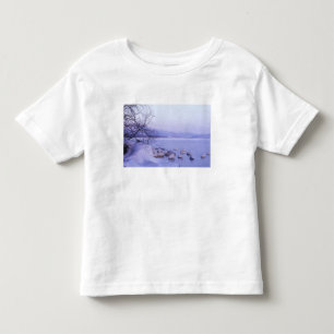 Asia, Japan, Hokkaido, Akan NP, Whopper Swans Toddler T-Shirt