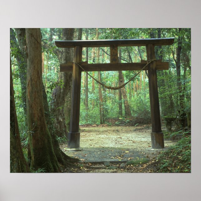 Asia, Japan, Kagoshima, Yakushima, Mountain Poster (Front)