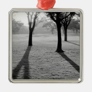 Asia, Japan, Kumamoto. Sunrise over Kumamoto, jo Metal Tree Decoration