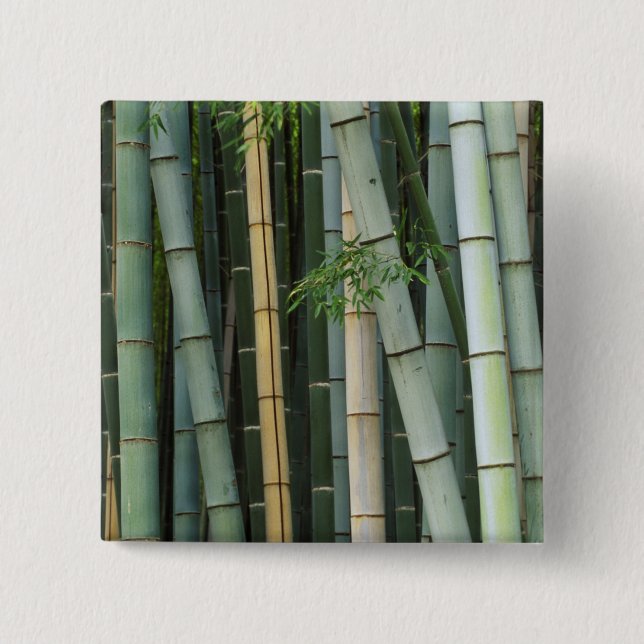 Asia, Japan, Kyoto, Arashiyama, Sagano, Bamboo 15 Cm Square Badge (Front)