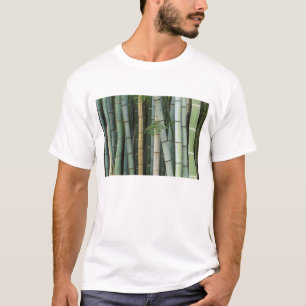 Asia, Japan, Kyoto, Arashiyama, Sagano, Bamboo T-Shirt