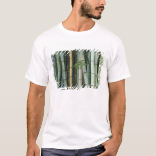 Asia, Japan, Kyoto, Arashiyama, Sagano, Bamboo T-Shirt
