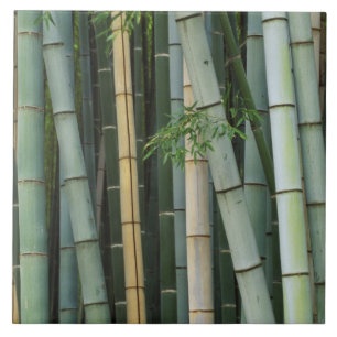 Asia, Japan, Kyoto, Arashiyama, Sagano, Bamboo Tile