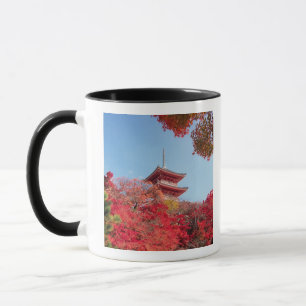 Asia, Japan, Kyoto. Autumn Colour Mug