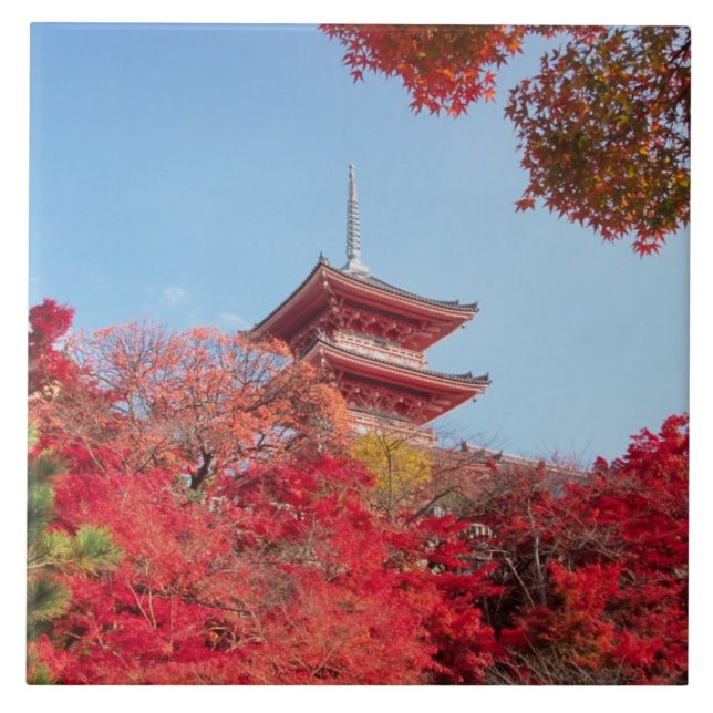 Asia, Japan, Kyoto. Autumn Colour Tile (Front)