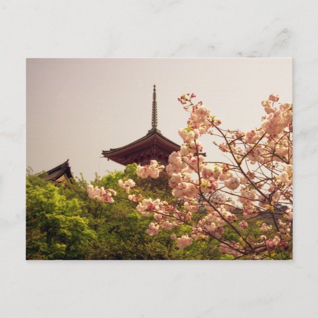 Asia, Japan, Kyoto, Kiyomizu temple in spring Postcard (Front)