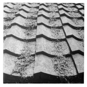 Asia, Japan, Miyajima. Clay roof detail Tile