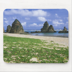 Asia, Japan, Okinawa, Yambaru Coastline, Sea Mouse Mat