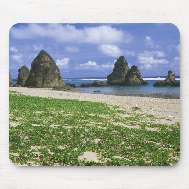 Asia, Japan, Okinawa, Yambaru Coastline, Sea Mouse Mat (Front)