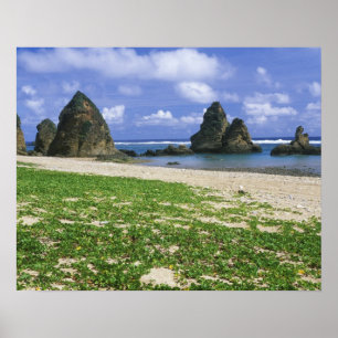Asia, Japan, Okinawa, Yambaru Coastline, Sea Poster