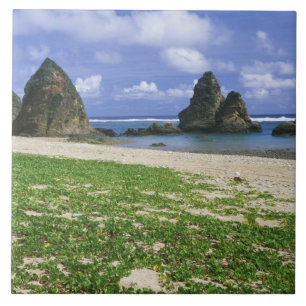Asia, Japan, Okinawa, Yambaru Coastline, Sea Tile