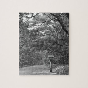 Asia, Japan, Tokyo, Grounds of Meiji Shrine, Jigsaw Puzzle