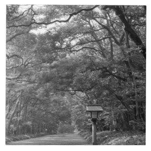 Asia, Japan, Tokyo, Grounds of Meiji Shrine, Tile
